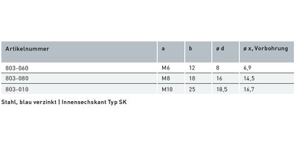 V2A Edelstahl Rampa Einschraubmuffe für Holz